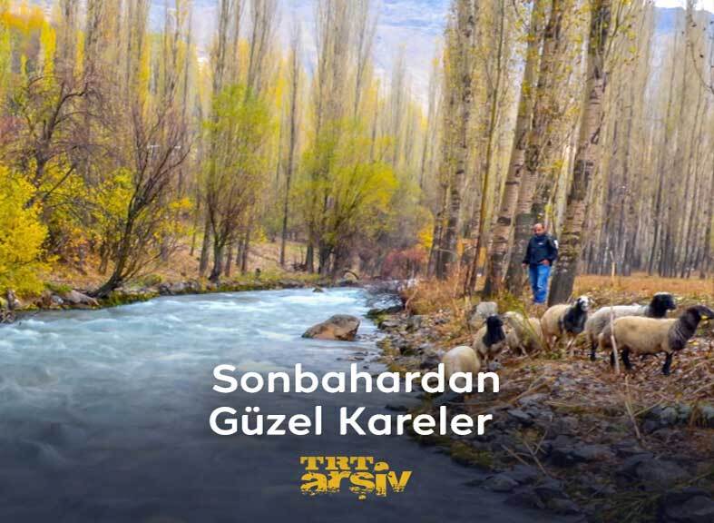 Dört mevsim ayrı güzellikler sunan ülkemizden renk renk sonbahar kareleri… 📸 #Sonbahar