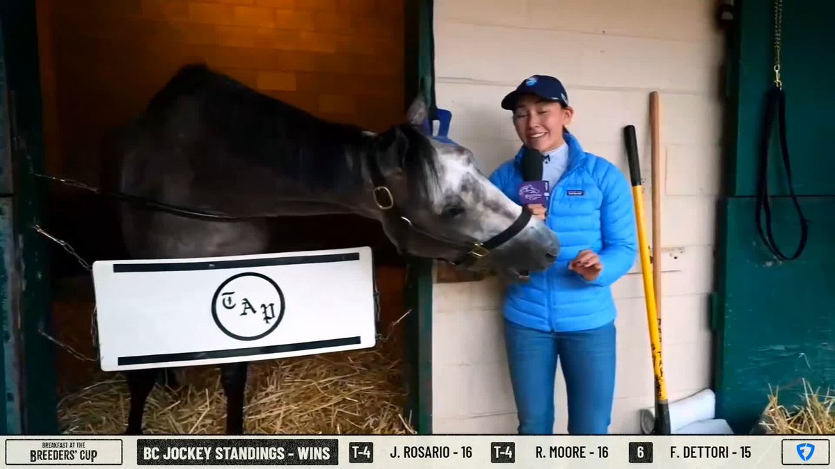 Ted Noffey is all settled in at the barn ahead of #BC25!