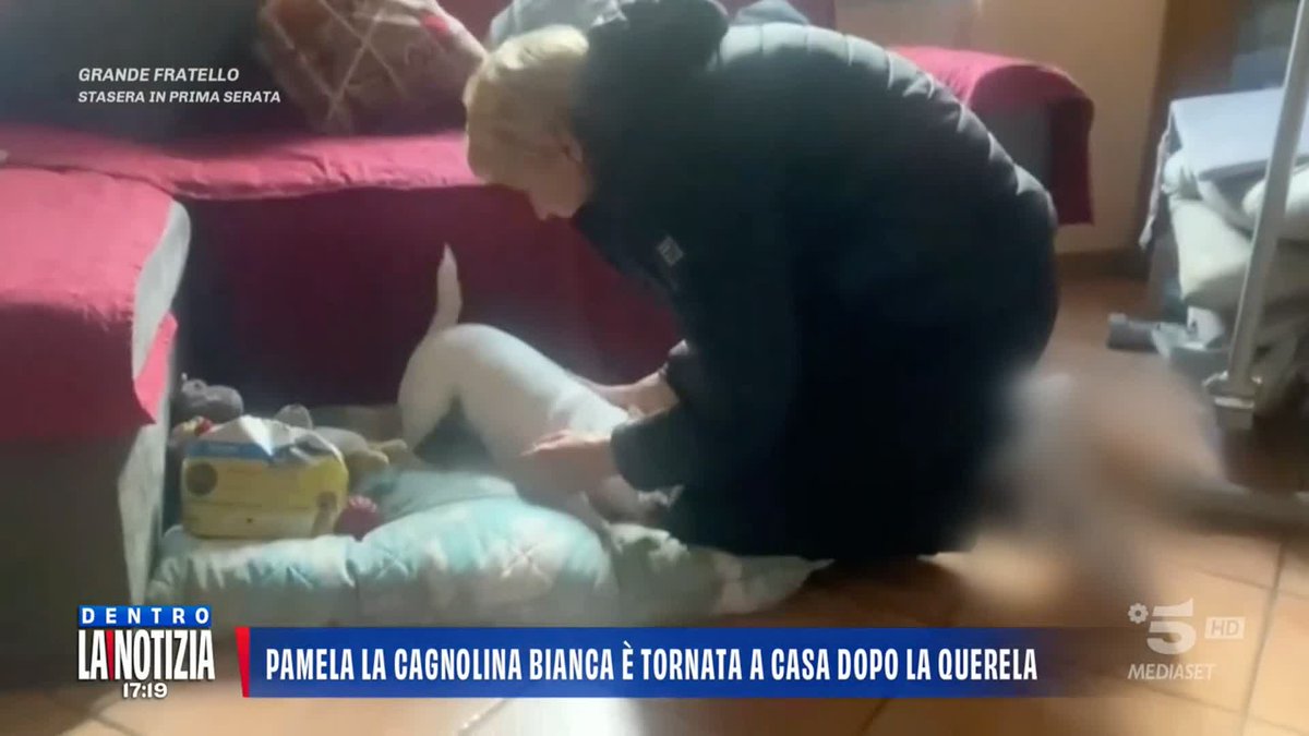 Bianca, la cagnolina di Pamela, è tornata a casa dopo la querela della mamma per furto e appropriazione indebita nei confronti di Francesco Dolci. #DentrolaNotizia