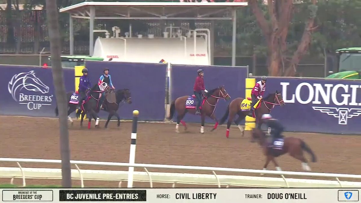 🐴 「フォーエバーヤングについてく…ついてく…」 🇺🇸 デルマー競馬場での“矢作厩舎トレイン”は、フォーエバーヤングが先頭でリード。アメリカ遠征も三回目、兄貴分として年下のアメリカンステージとスウィッチインラヴを引っ張ります。 #競馬 #海外競馬 #BreedersCup