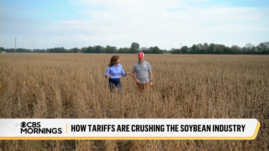 Soybean farmer: We can't help but feel very anxious of wondering why it's taking so long to get this resolved. We're going to lose probably about $2 a bushel this year. We can't sustain that kind of loss for very long of a time period without going under.