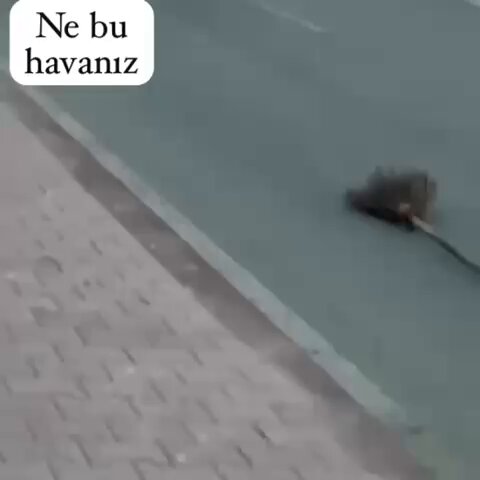 DEPREMDEN DEPREME ÖLÜMÜ HATIRLIYORUZ. ZENGİNİ FAKİRİ HERKES BİR KORKU İÇİNDE ABİMİZ ÇOK ANLAMLI BİR VİDEO ÇEKMİŞ. BENCE ARTIK BİR MUHASEBE VAKTİ GELMESİ Mİ 😢 #sallandık #afad #deprem Balıkesir Hissettik Baya Yıkılan Hisseden"Şener Üşümezsoy" Kandilli Marmara Fena İyiyiz Hepimize Bursa