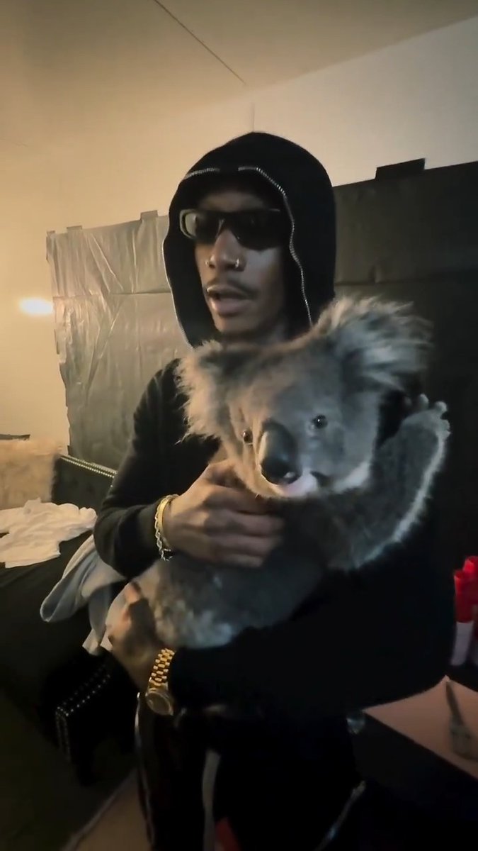Wiz Khalifa getting hugged by a koala is the best thing you'll see today. 🐨