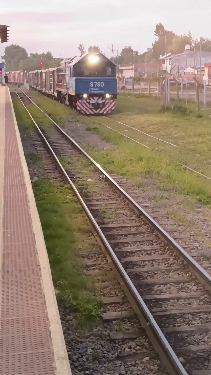 Y se va la segunda... Llegó a la Ciudad de Buenos Aires el "Tren 25 de mayo”. Una formación ferroviaria de trocha angosta que recuperamos de los depósitos de Tafí Viejo, Tucumán. Lo estamos acondicionando para sumarse al “Tren de Capital Humano - 9 de Julio” para llevar a cada rincón del país atención y prevención a las familias argentinas. Javier Milei