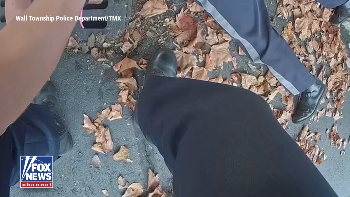 HEARTWARMING RESCUE: Police officers save a dog named Sandy after she slips out of her collar during a walk and falls into a storm drain. She was reunited with her owner unharmed.