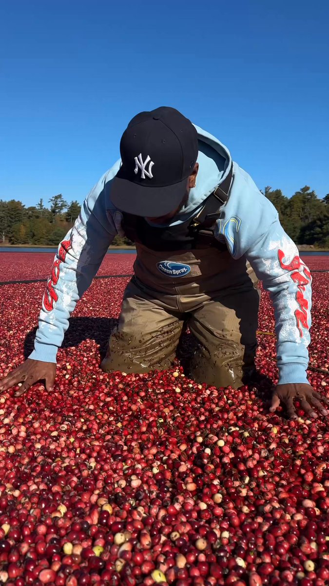 Cranberry Bogging wit Ocean Spray.