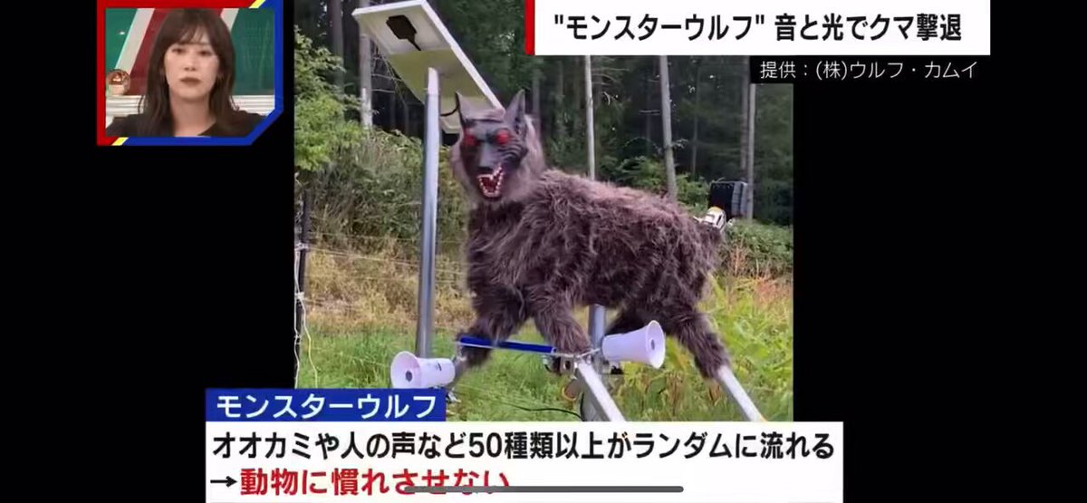 An enterprising gentleman in Japan created the "Monster Wolf" scarecrow to repel animals. Since it uses 50 different sounds including wolf &amp; human (Ora Ora!), animals don’t get used to it. One farmer praised it saying. "I no longer find bear footprints" 300 units have been sold
