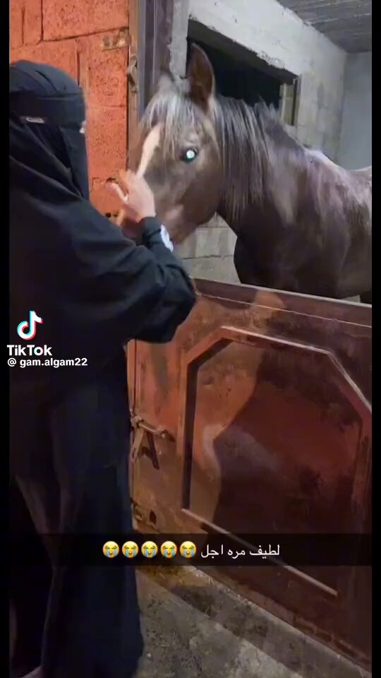 هالمقطع لو اشوفه مليون مره مستحيل يفشل انه يضحكني بالله حطولنا بالمنشن مقاطع لو تشوفونها مليون مره تضحكم خاطري انبسط