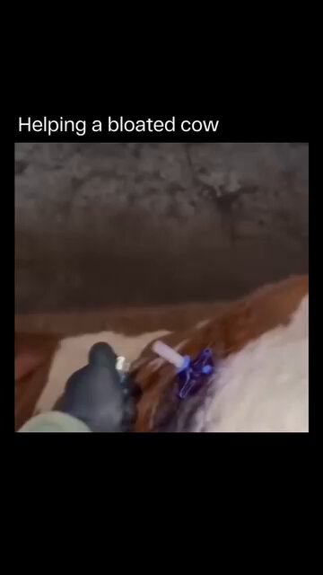 Learn something new every day. What happens if that flame travels back into the hole? Burgers, anybody?!