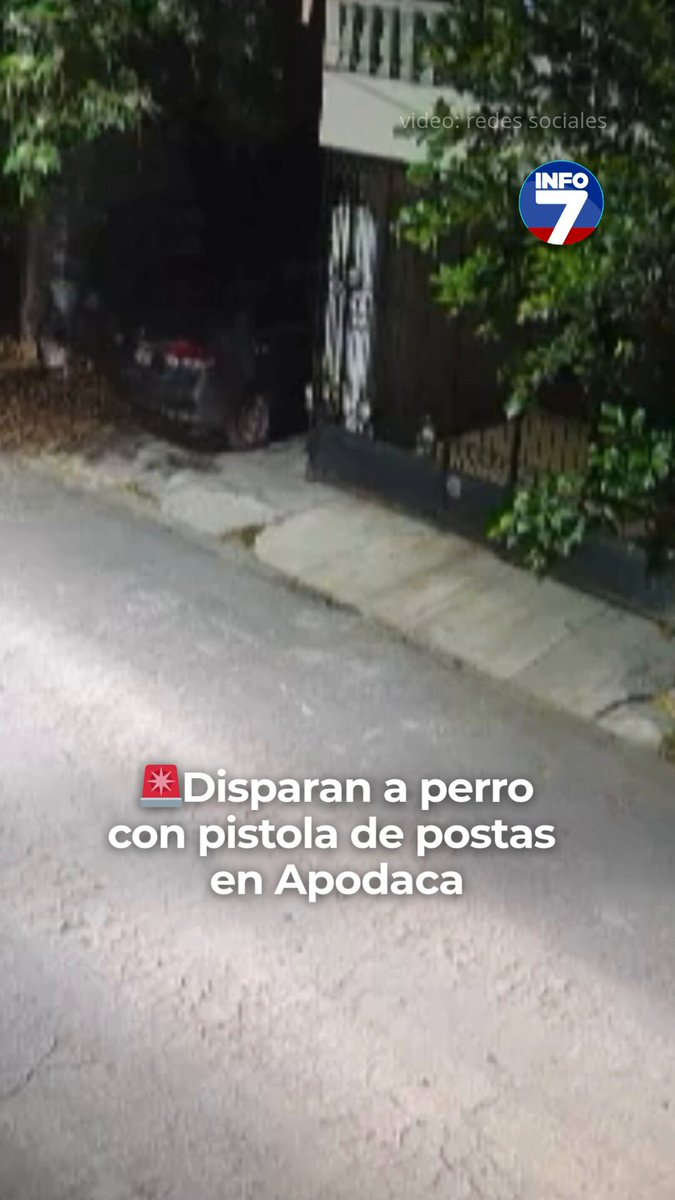 🚨 Un acto de crueldad animal fue captado en video por una cámara de seguridad, material que muestra el momento en que una persona a bordo de un automóvil dispara una pistola de postas contra un perro frente a una casa, en Apodaca. 📹: redes sociales