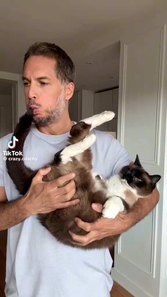 This is why i pay for the internet