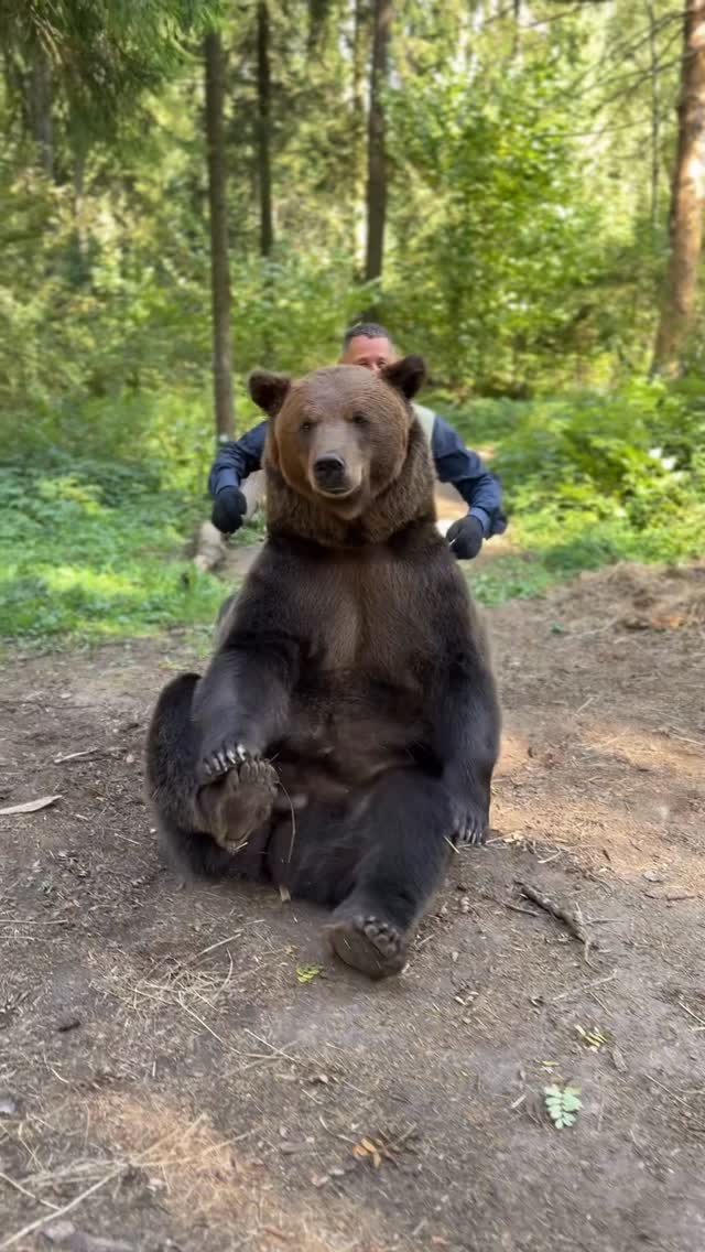 Normal day in Russia