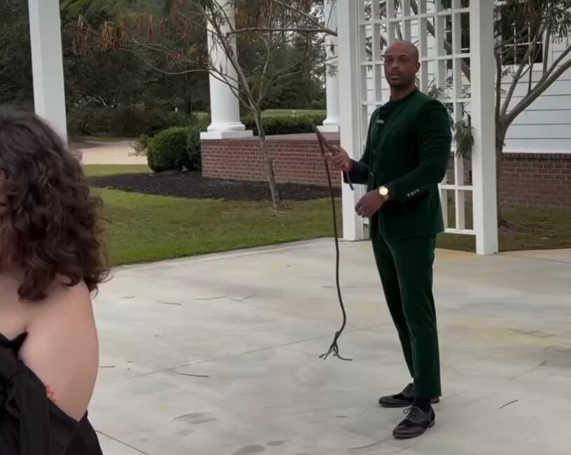Have you visited a plantation and allowed a black man to whip you for an authentic experience? No? Why?