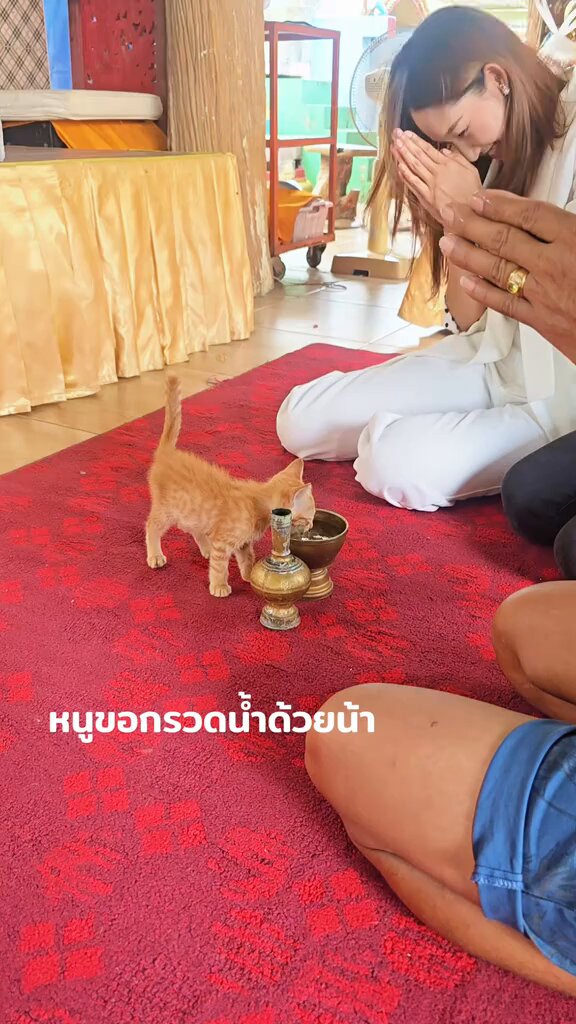 บุญเน้นๆครับ