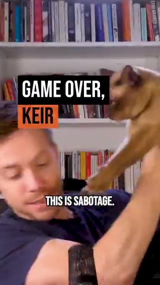 Let me make this clear: I would never have Starmer-supporting cats.