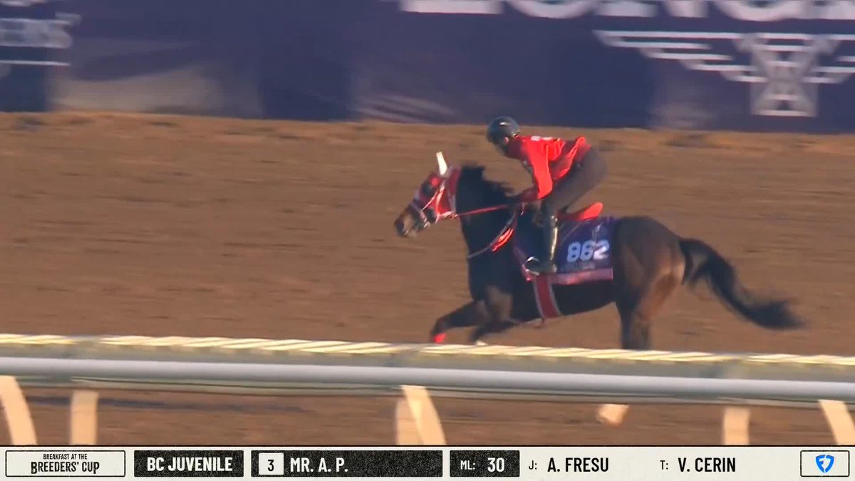 Switch In Love will look to win the Juvenile Fillies Turf for Japan! 🇯🇵 スウィッチインラヴ