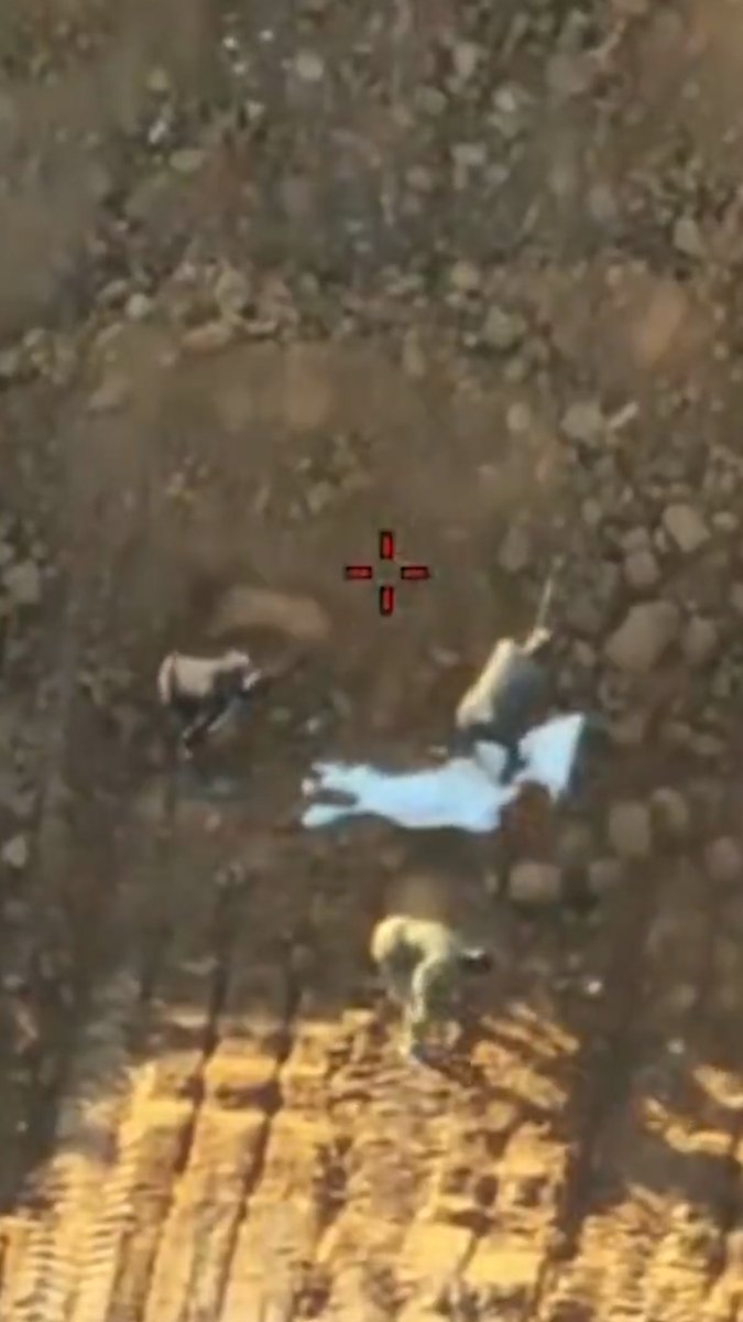 This IDF video claims to show Hamas staging the recovery of a slain hostage's remains. Israel says militants were filmed removing body remains from a structure and re-burying them nearby, before alerting the Red Cross. The drone footage has not been independently verified.