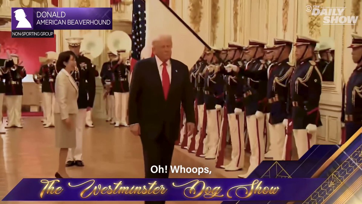 Donald Trump: Best in Show