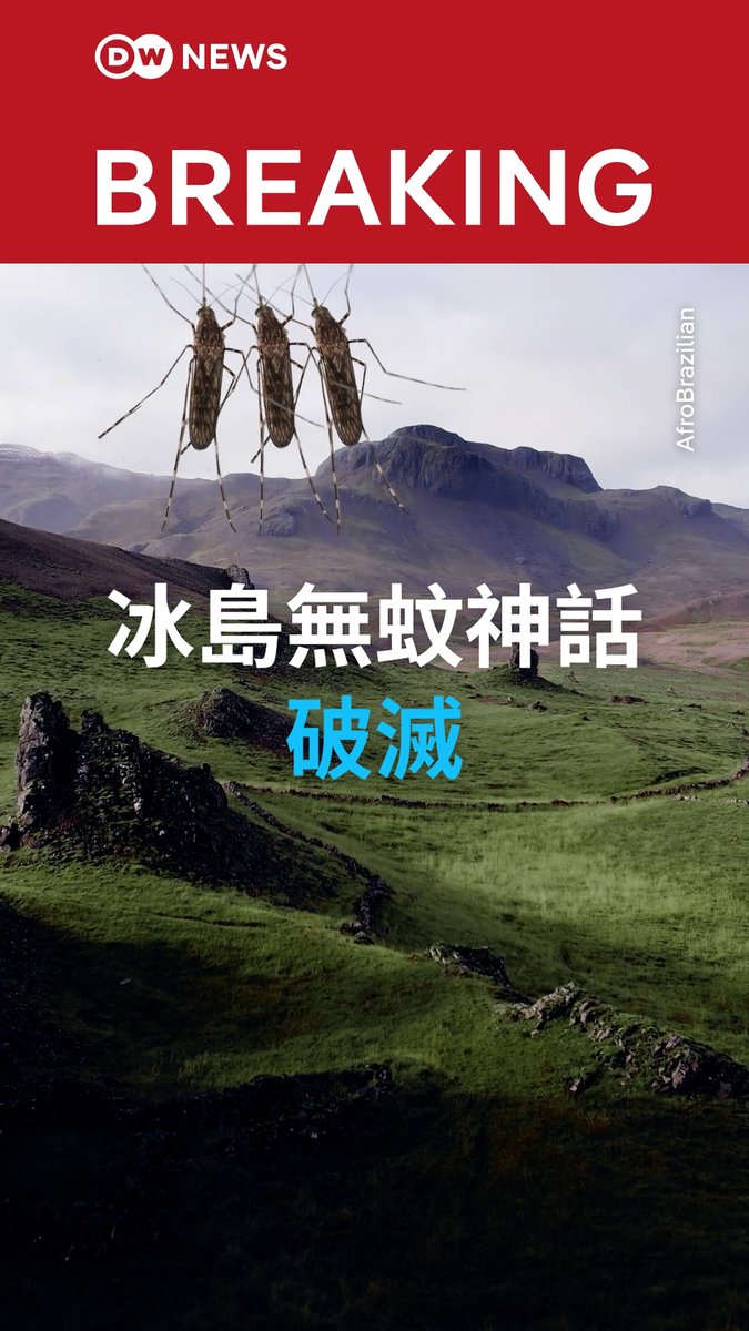 冰岛一直以来都是无蚊之地。但现在,这个国家首次在野外发现了三只蚊子!冰岛人,你们可以小心了,你们还不知道,蚊子的叮咬真的很痒! #dwscience #dwhealth