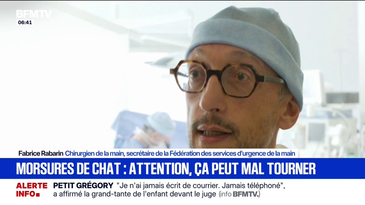 💬"Ça inocule une bactérie en profondeur" ➡️ Chaque année, 25.000 Français finissent au bloc opératoire après une morsure de chat