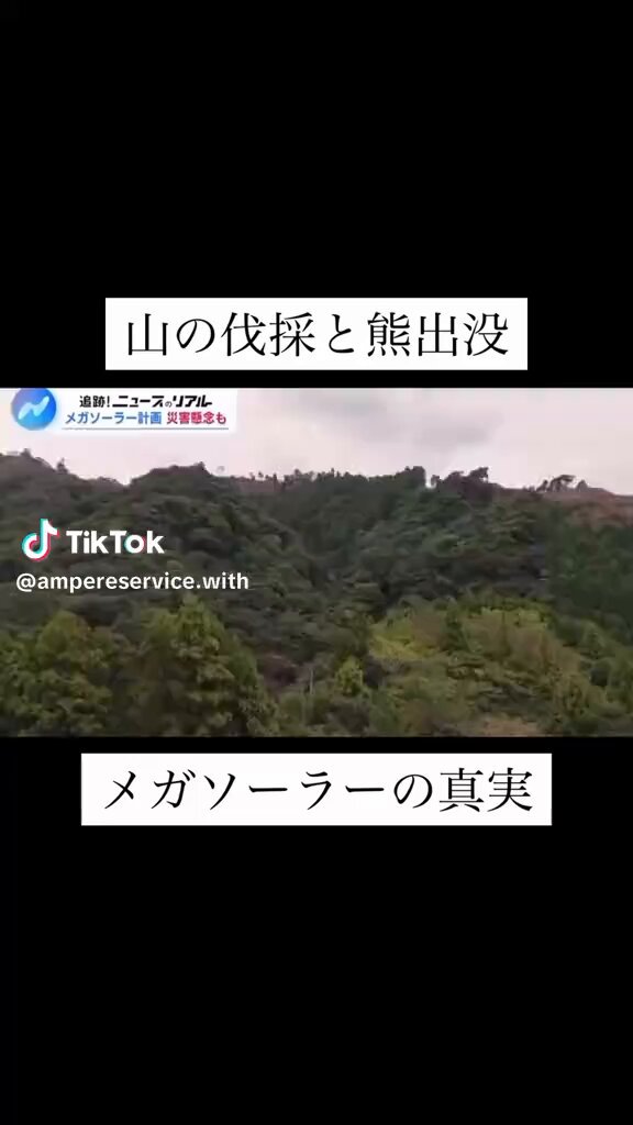 メガソーラーと熊🐻出没