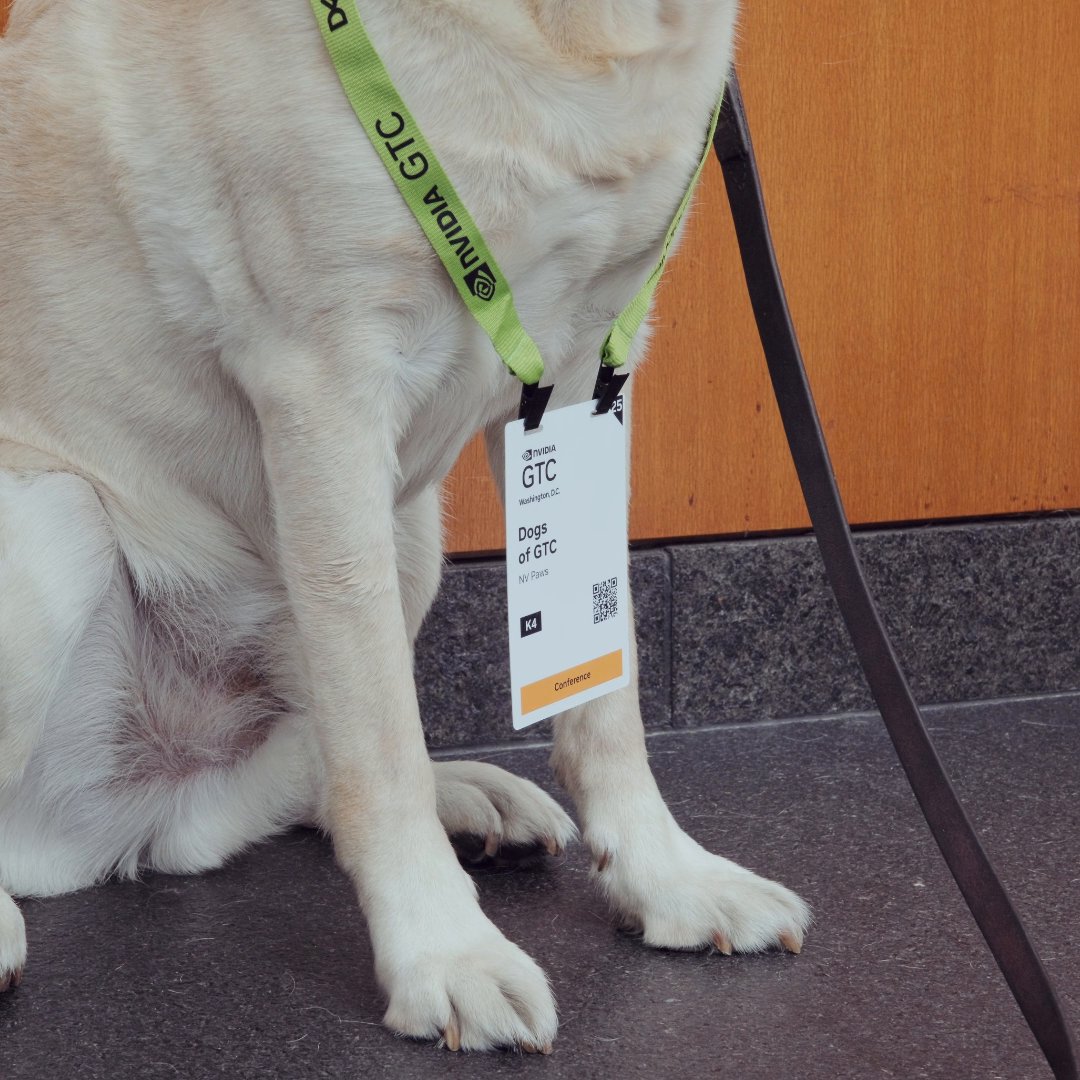 Real dogs. Robot dogs. All good dogs. 🐾 Meet the dogs of #NVIDIAGTC who helped make this show spectacular. 💚