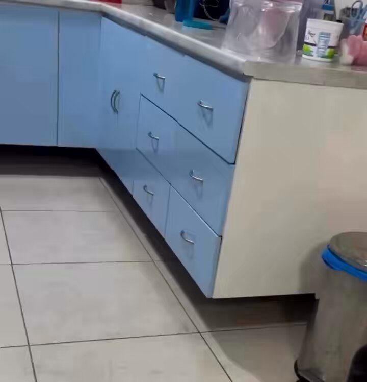 🚨VEJA: Doguinho usa técnica para esconder embaixo do armário e tutora se diverte gravando o momento.
