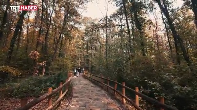 🍂 Hadi gelin, Avrupa’nın en büyük doğal yaşam parkı Ormanya’da küçük bir sonbahar gezisine çıkalım. 📍Kocaeli