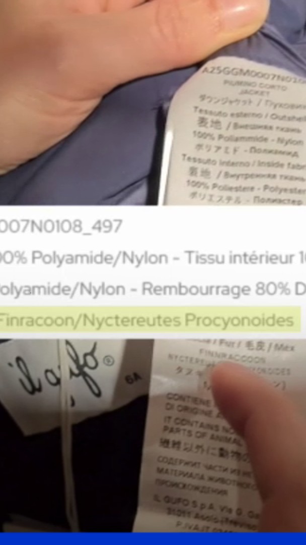 Les Galeries Lafayette commercialisent de la fourrure animale sous l'étiquette "fausse fourrure"