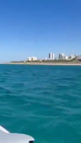A rare Whale Shark was spotted in the sea in Haifa this morning. Israel considers the Whale Shark an endangered species and strictly protects it by law. Beaches were closed to safeguard the animal from accidental harm. A beautiful fish that must be protected 💙