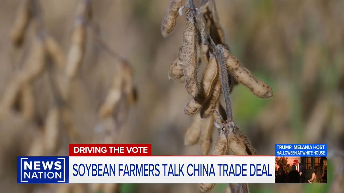 Soybean farmer: These soybeans will probably lose $150 to $175 an acre. That's a $180,000 loss for my operation, and I'm not unique to anybody else in this area.