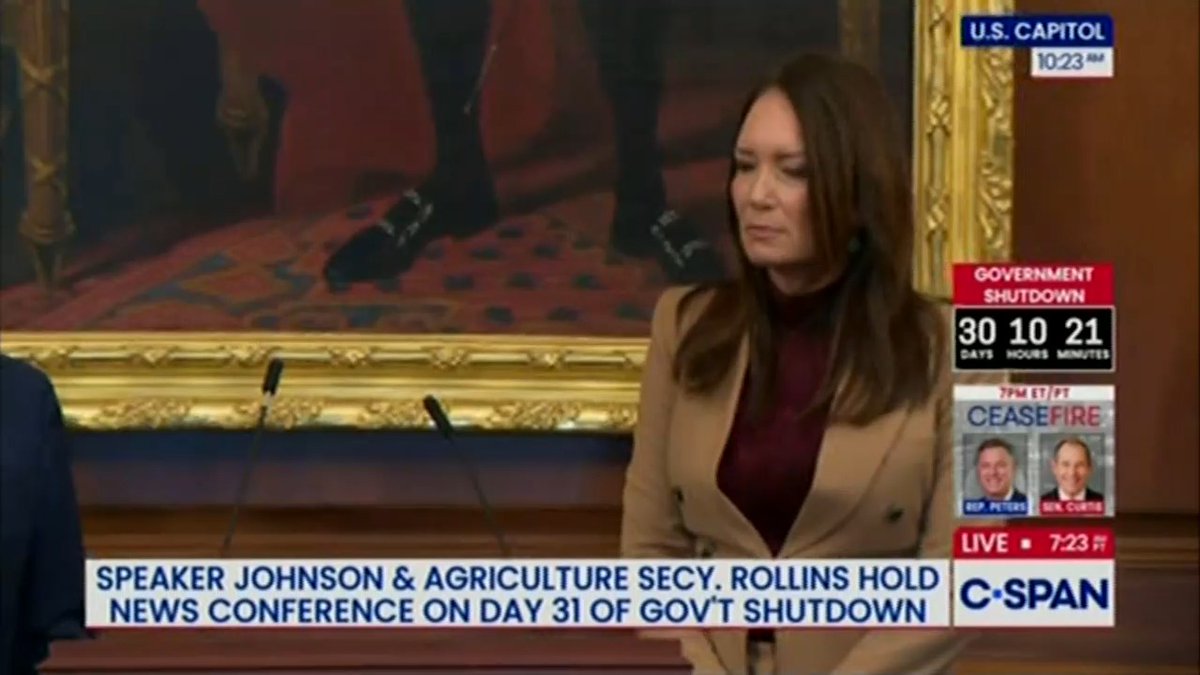 Trump's Agriculture Secretary: My message to America is your government is failing you right now. We have failed you Johnson: Uh, to clarify, when she said 'we have failed you,' she means we, the Democrats