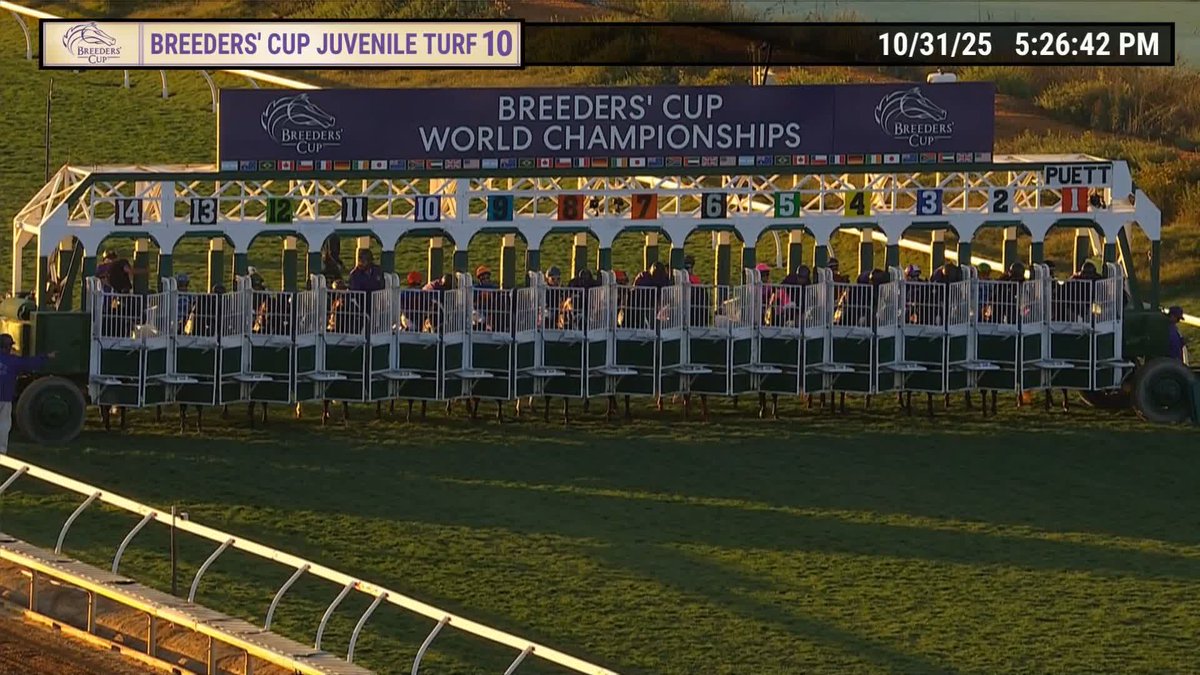 Gstaad flies home a #BreedersCup champion in the $1 Million Juvenile Turf! #BC25 Congrats to the connections!