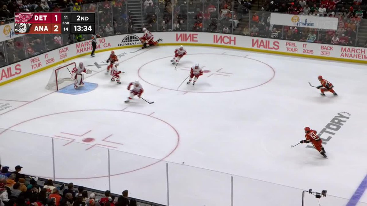 Mason McTavish goes for a lap 🚶‍♂️