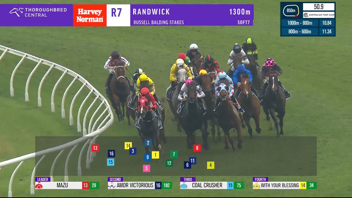 Jimmysstar unleashes his star power to smash them in the Russell Balding Stakes! ✨ Ciaron Maher Racing Ethan Brown Australian Turf Club