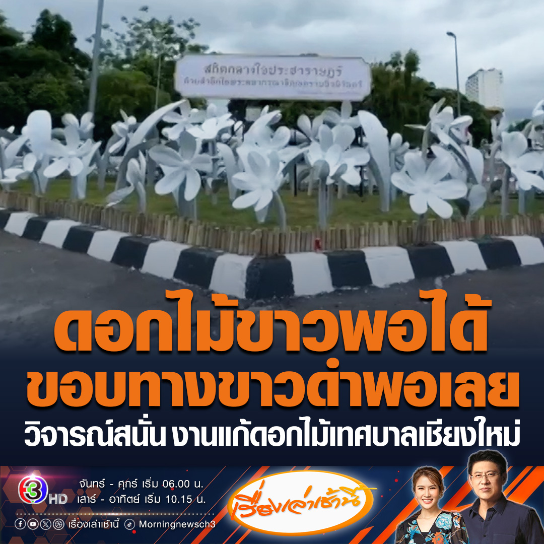 #เรื่องเล่าเช้านี้ เจ้าหน้าที่เทศบาลนครเชียงใหม่นำดอกไม้ที่ทาสีขาวมาติดตั้งใหม่ที่เกาะกลางถนนแล้ว พร้อมกับทาสีขอบทางตรงเกาะกลางใหม่เป็นสีขาวดำด้วย วิจารณ์สนั่น “ดอกไม้ขาวพอได้ แต่ขอบทางขาวดำพอเลย” #ข่าวภูมิภาค #เชียงใหม่