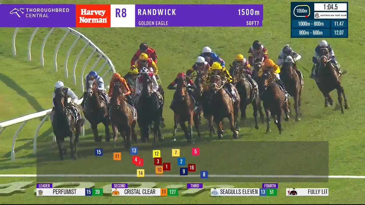 A real golden girl! Autumn Glow lands as the next big thing, and soars past them to take the Golden Eagle - and she remains unbeaten! 🦅 🤩 Chris Waller Racing James McDonald Arrowfield Stud Australian Turf Club
