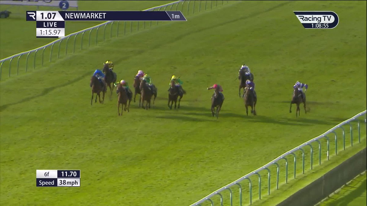2/2 ๐ Pintara (Pinatubo) lands Listed honours in the Montrose Fillies' Stakes for Ralph Beckett and Hector Crouch at Newmarket Racecourses ๐คฉ EBN | British EBF