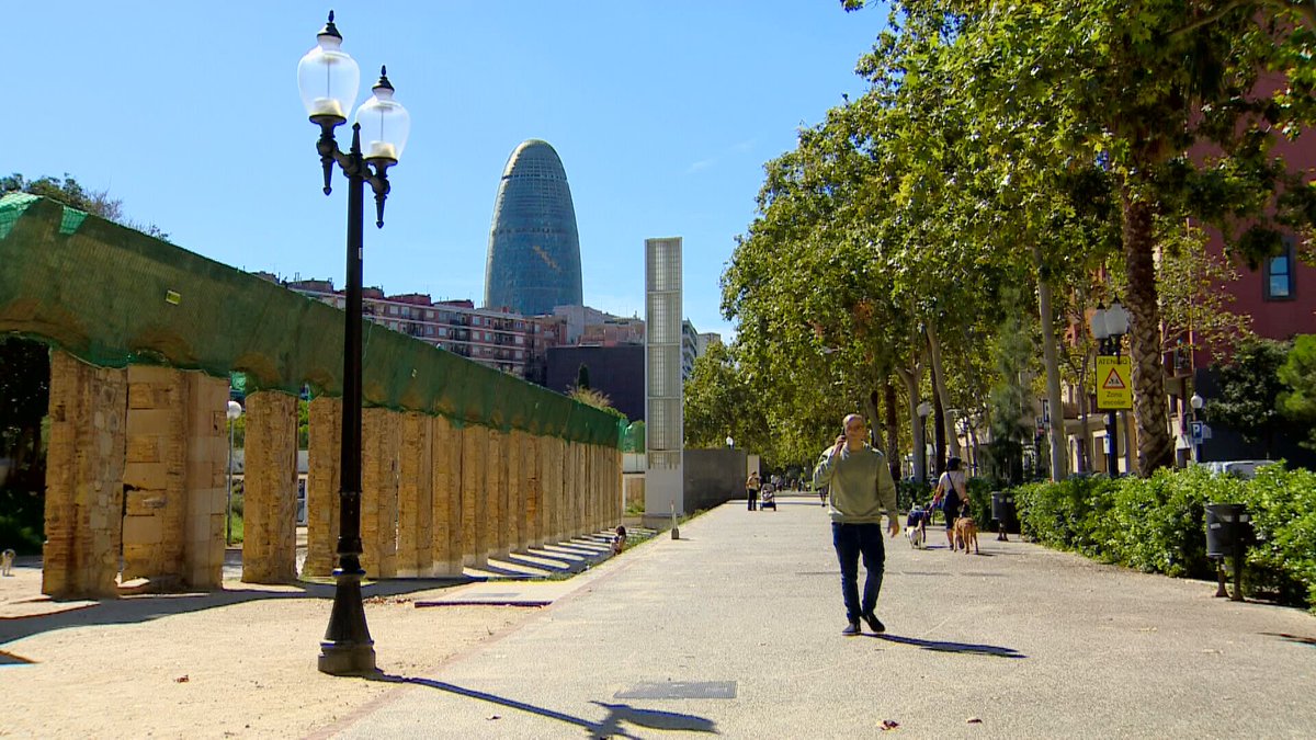 Universitarios que cambian de estudios por el precio del #alquiler. Jóvenes con trabajo que no pueden optar a un piso entero. #Viviendas sin lugares comunes, divididas en dormitorios. Y mayores que, con su pensión, solo pueden compartir. Esta noche, "UNA VIDA EN UNA HABITACIÓN"⤵️