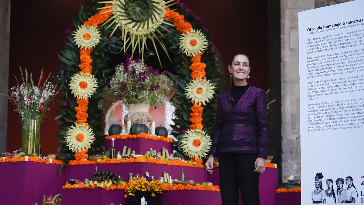 La ofrenda en Palacio Nacional se llena de flores, colores, canto y fuego. Cada pétalo de cempasúchil marca el camino de regreso para aquellas mujeres que sembraron vida en su paso por la tierra. 🌺 Honramos a las que cuidaron la milpa, a las que curaron con hierbas, a las que contaron historias bajo la luna, a las que defendieron su tierra y dignidad. 🌾 Ellas siguen aquí, en la voz del viento, en el pulso de la tierra, en el eco de cada palabra de su lengua materna. Nuestra ofrenda es para ellas: por su fuerza, su sabiduría y su amor infinito. Ancestras de todas y todos los mexicanos.