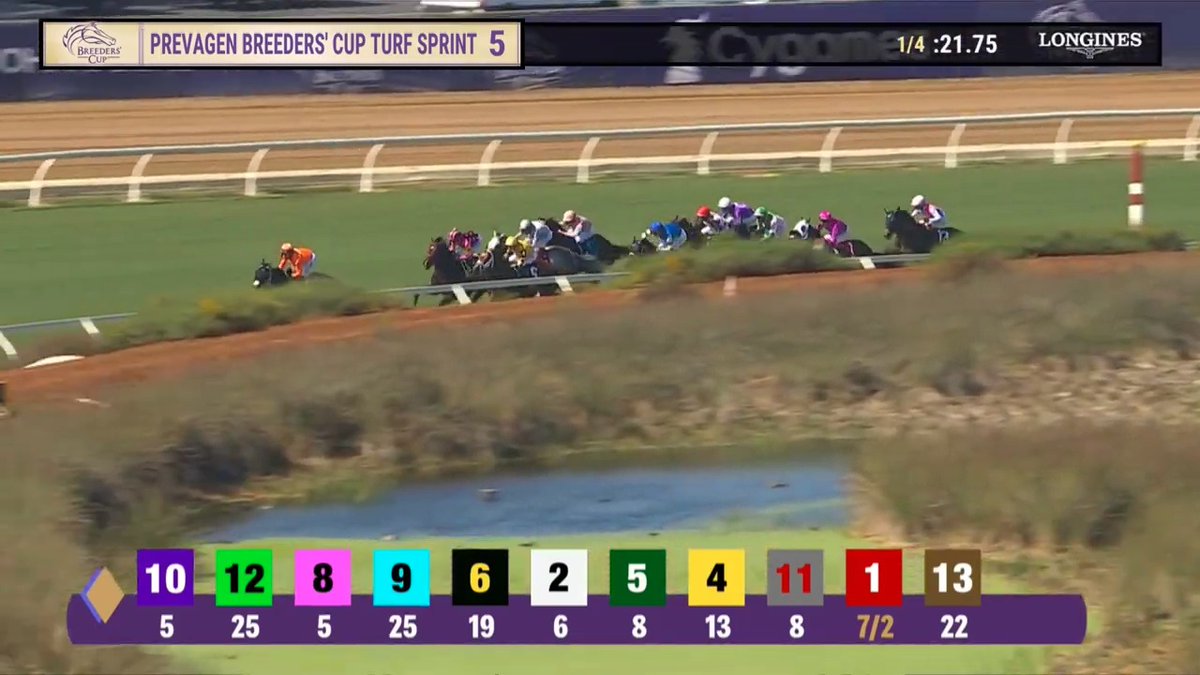 She flies to the finish! 💨 Shisospicy wins the $1M Prevagen #BreedersCup Turf Sprint! Congrats to the connections! J: Irad Ortiz, Jr. T: Jose Francisco D'Angelo O: Morplay Racing, LLC and Qatar Racing, LLC B: Bill Heiligbrodt &amp; Corinne Heiligbrodt