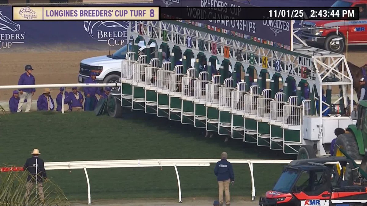 Turf magic in motion! ✨ Ethical Diamond storms home a #BC25 champion in the Longines Watch Co. #BreedersCup Turf! Congrats to the connections! J: Dylan Browne McMonagle T: William P. Mullins O: H O S Syndicate B: Mr W. J. Kennedy