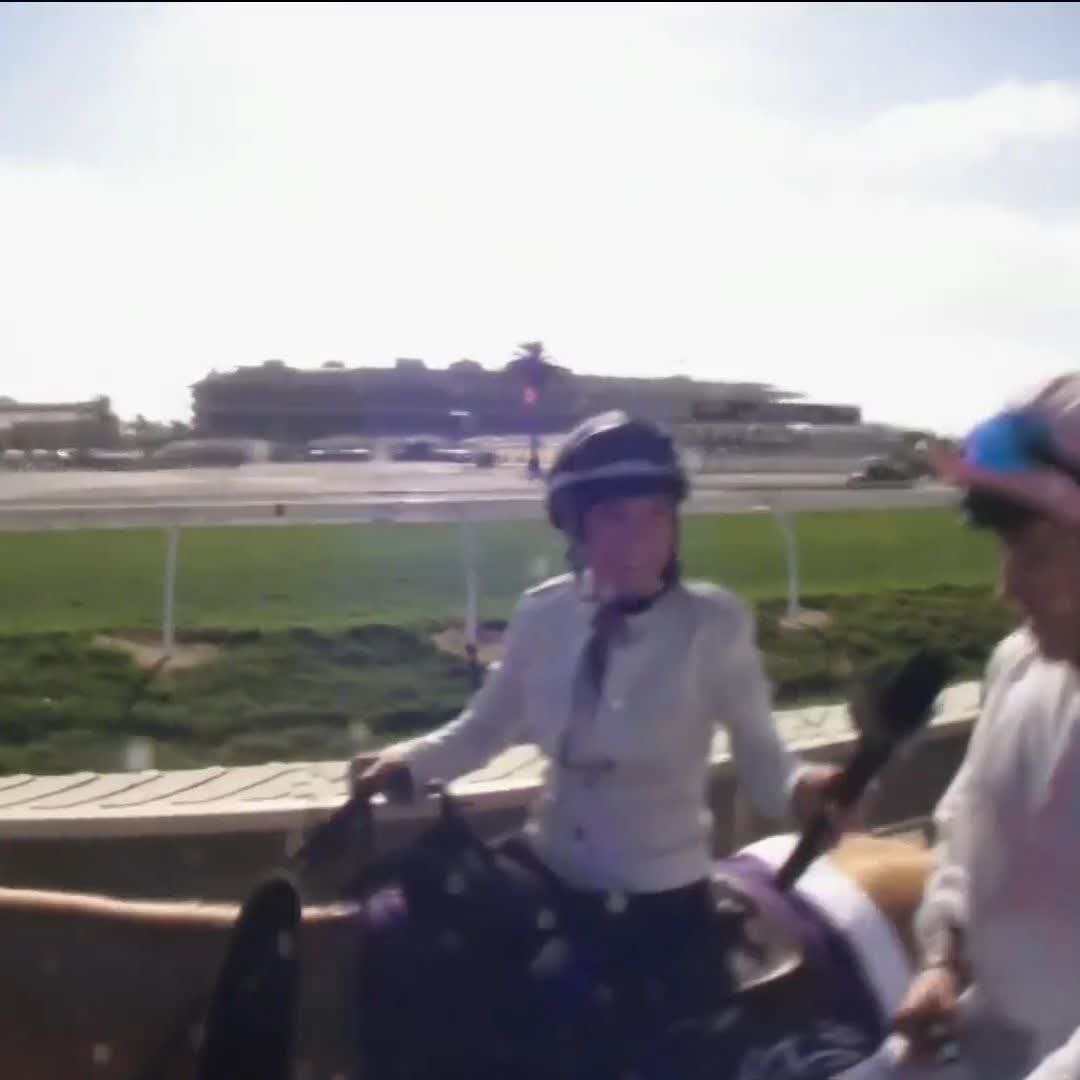 🗣️ "It's an unbelivable training performance." Never ridden Ethical Diamond before... win the Breeders' Cup together Recently crowned Champion Jockey in Ireland, nice couple of weeks for Dylan Browne Mc Mon 👏
