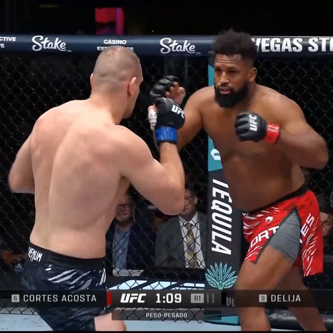 This has to be one of the craziest moments in UFC history. Ante Delija thought he TKO’d Waldo Cortes-Acosta, but he eye poked him. Minutes pass and the fight is restarted, and then Waldo immediately KO’s Delija. #UFC