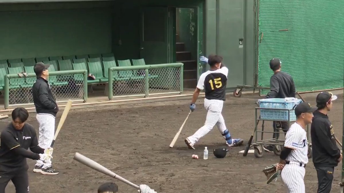 【安芸】 平田ファーム監督も見守る前でロングティーを行う西純矢選手！ #hanshin #虎テレ #阪神タイガース #秋季キャンプ 虎テレでは秋季キャンプをライブ配信