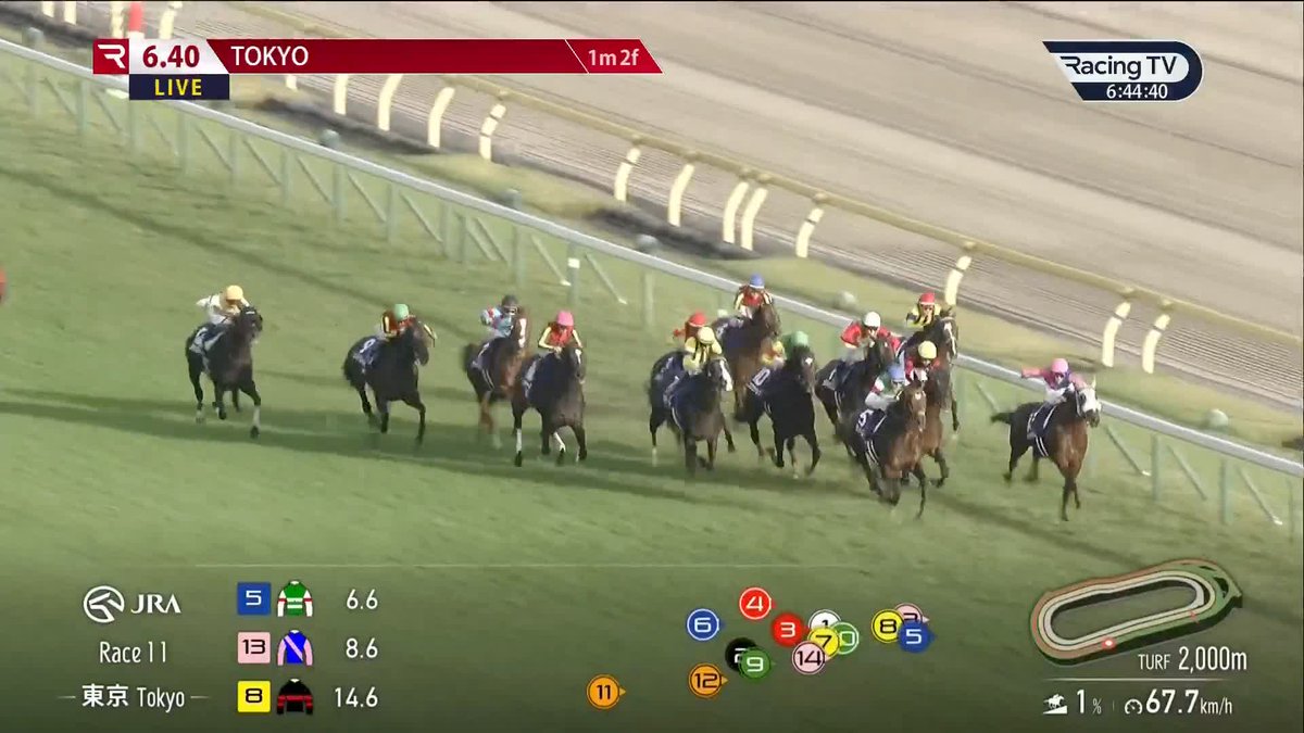 G1 2000m Tenno Sho (autumn) at Tokyo Won by new star 3c 7. MASQUERADE BALL (Duramente x Mask Off (Deep Impact)) under that man Christophe Lemaire 🇫🇷 2nd 3c MUSEUM MILE 3rd 6h JUSTIN PALACE 1.58.6 for the 2000m #JRA