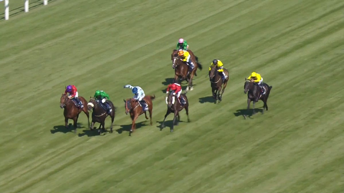Dubai Duty Free Shergar Cup winner ➡️ Breeders’ Cup Classic hero! 🏇💥 Congratulations to Ryusei Sakai! 🏆🙌 ドバイ・デューティー・フリー・シェルガーカップ優勝者 ➡️ ブリーダーズカップクラシックの英雄! 🏇💥 酒井流星選手、おめでとうございます! 🏆🙌