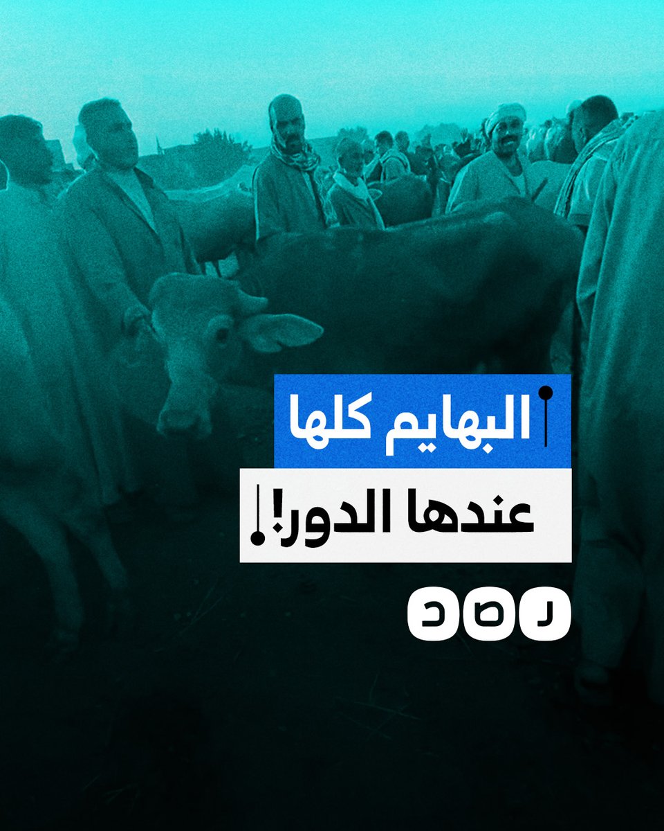 "الموضوع منتشر بطريقة رهيبة".. مواطنون يحذرون من انتشار أمراض تصيب الماشية في مصر