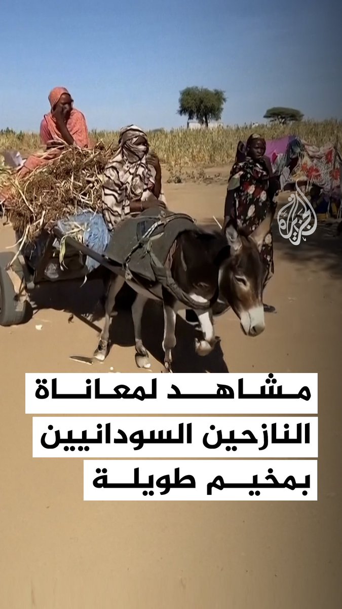 مشاهد توثق معاناة النازحين السودانيين في مخيم طويلة شمال #دارفور #فيديو