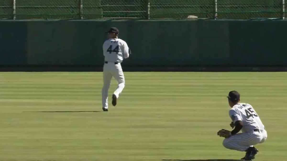 【安芸】 カットマンの戸井選手は華麗に3塁へ完璧な送球を披露！ナイスカバー！ #hanshin #虎テレ #阪神タイガース #秋季キャンプ 虎テレでは秋季キャンプをライブ配信